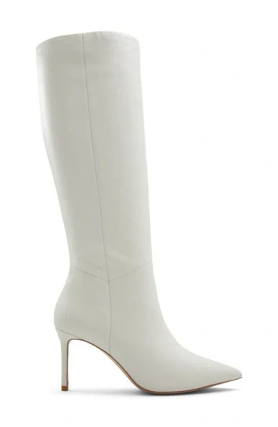 Aldo Laroche Pointed Toe Knee High Boot