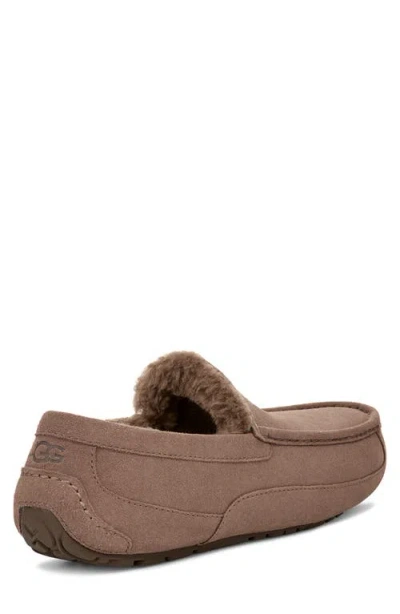 Ugg ® Ascot Slipper