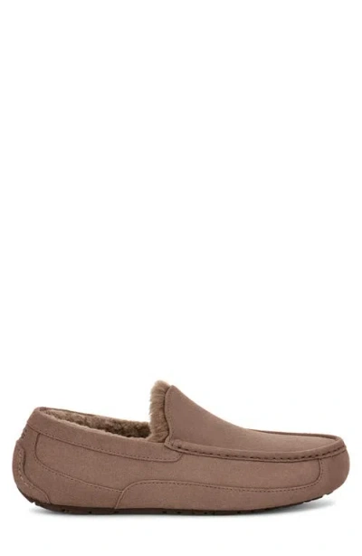 Ugg ® Ascot Slipper