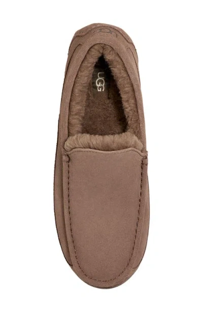 Ugg ® Ascot Slipper