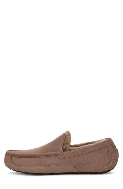 Ugg ® Ascot Slipper
