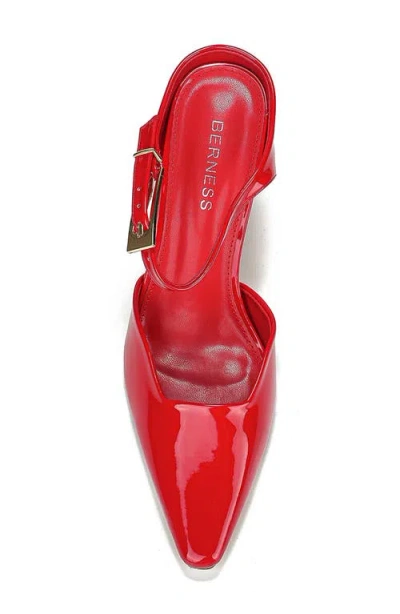 Berness Cesar Pointed Toe Pump