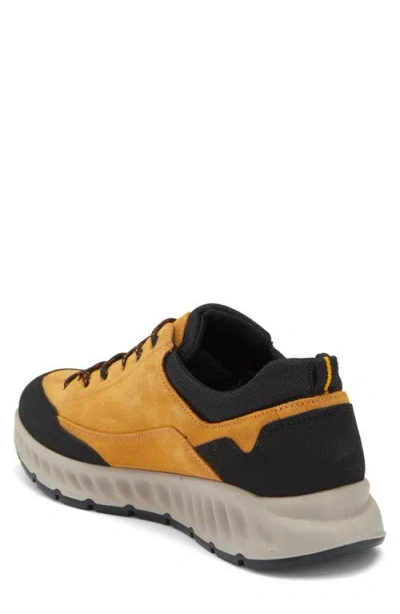 Ara Petro Waterproof Sneaker