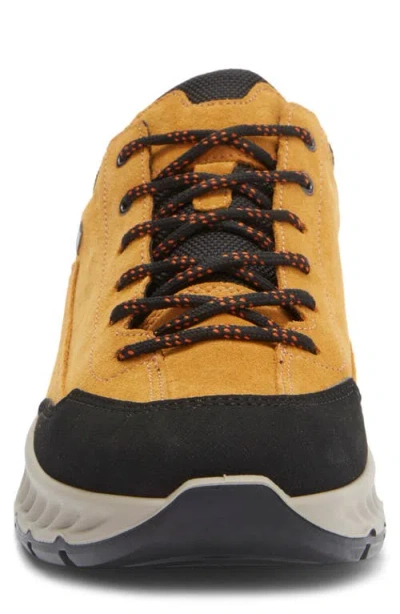 Ara Petro Waterproof Sneaker