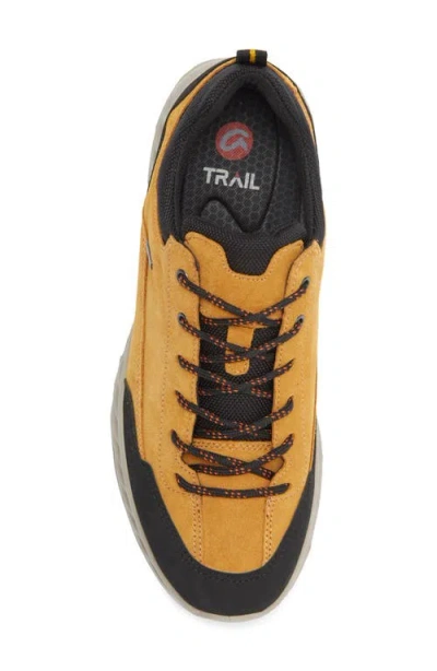 Ara Petro Waterproof Sneaker