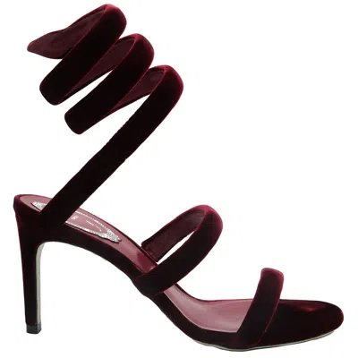 René Caovilla Rene Caovilla Cleo 80 Velvet Sandals