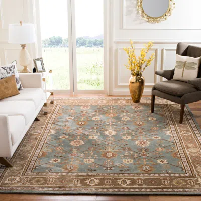 Safavieh Total Performance Hand Made Area Rug, Blue / Taupe Traditional Style Non-shedding In Blue