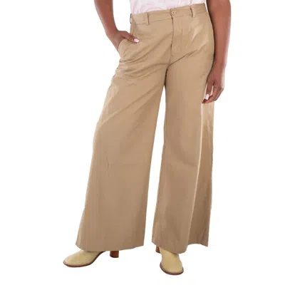 Mm6 Maison Margiela Cotton Pants In Brown
