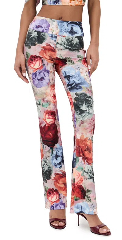 Alice And Olivia Olivia Fit Flare Bootcut Pants Storm Floral Sm