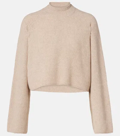 Max Mara Funale Wool And Cashmere Sweater