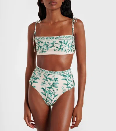 Agua By Agua Bendita Magenta Floral Bikini Bottoms