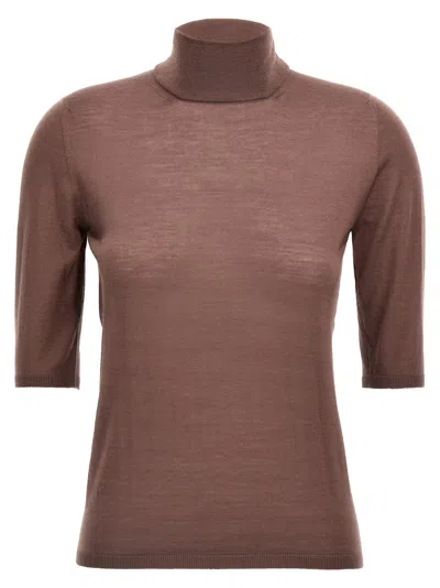 Max Mara Purple Cecina Turtleneck Sweater In Brown