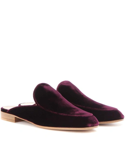 Gianvito Rossi Mytheresa.com独家发售 – Palau天鹅绒便鞋 In Purple