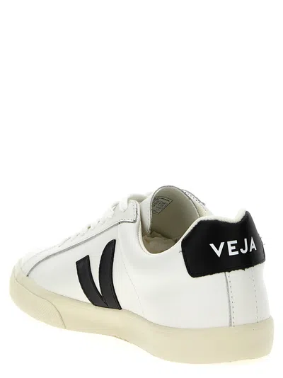 Veja Esplar Sneakers In White Leather In White