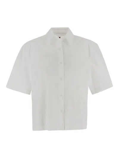 The Latest Classic Short Shirt In White