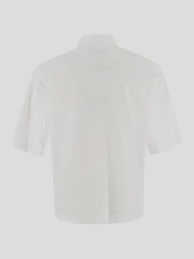 The Latest Classic Short Shirt In White