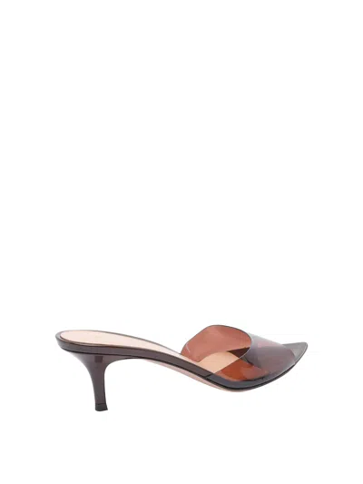 Gianvito Rossi Pointed Toe Mules With Semi-sheer Strap In Brown