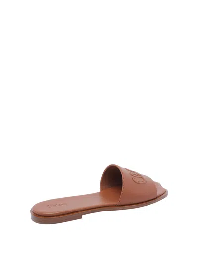 Chloé And Brown Flower Sandals