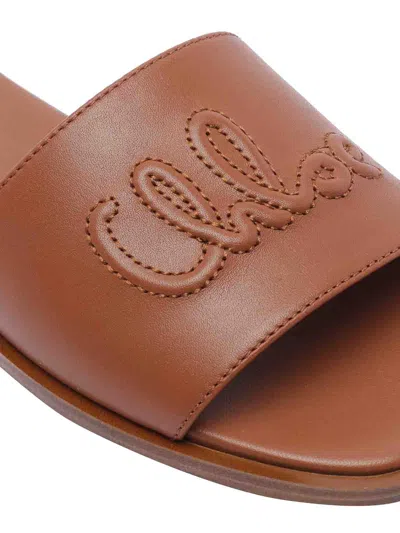 Chloé And Brown Flower Sandals