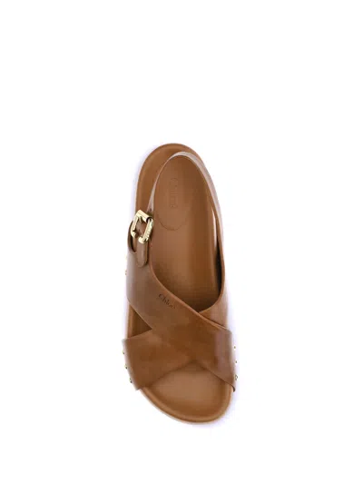 Chloé Calfskin Strappy Sandals Gold Studs