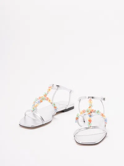 Jimmy Choo Women `gwyn/daisy Flat`