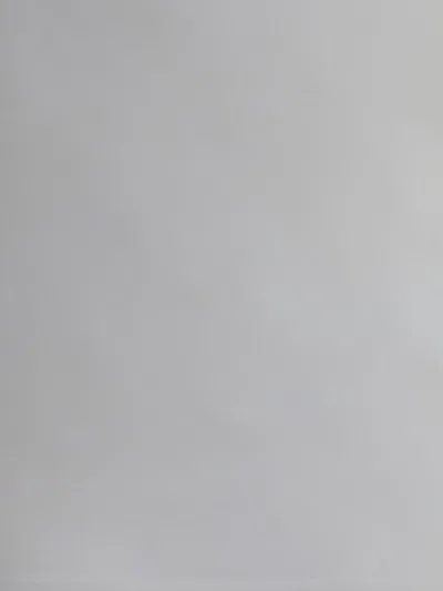 Wolford Top Jamaika In White