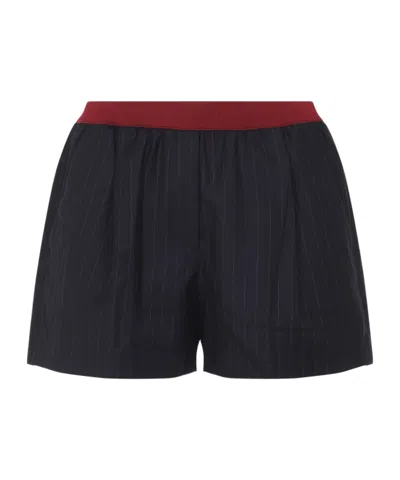 Miu Miu Virgin Wool Pinstriped Shorts In Black