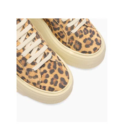 Casadei Low Top Sneakers Platform Sole In Animal Print