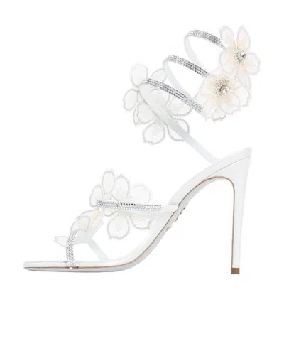 René Caovilla Leather Floral Embroidered Crystal Sandals In White