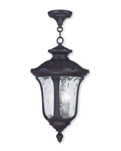 Livex Lighting Livex Oxford 3-light Bronze Chain Lantern In Black