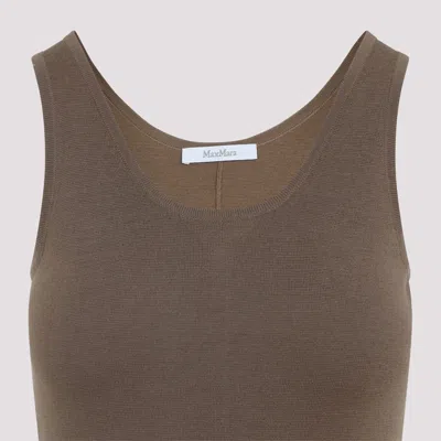 Max Mara Aceri Knit Long Dress In Brown