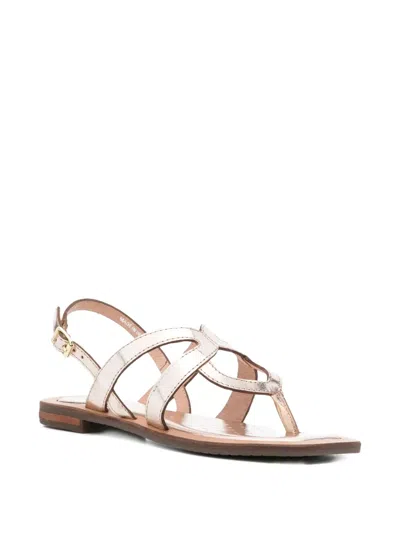 Geox Sozy Leather Buckled Sandals