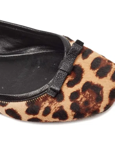Pre-owned Dolce & Gabbana Leopard-print Bow-detail Ballet Flats