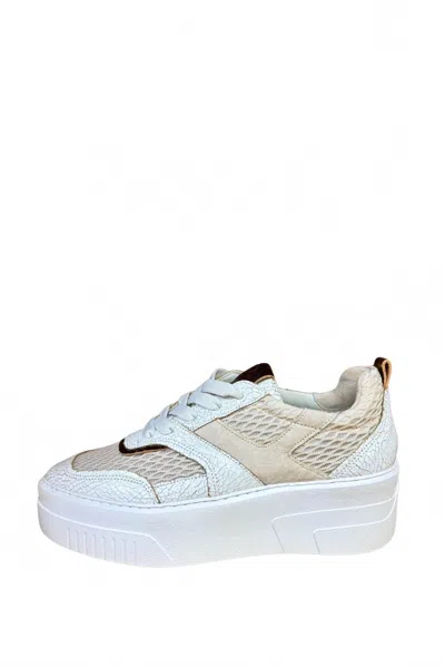 Softwaves Women's Bibi Sneakers In Tan/white