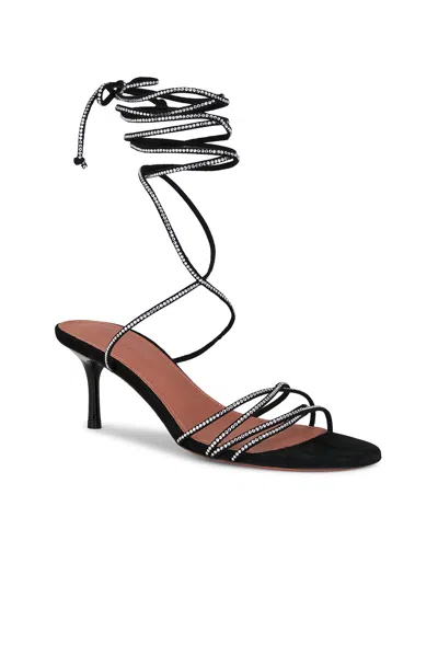 Amina Muaddi Lori 60 Lace Up Sandal