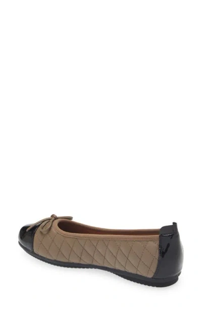 Josef Seibel Pippa Ballet Flat
