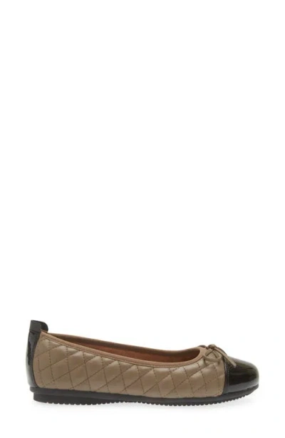 Josef Seibel Pippa Ballet Flat