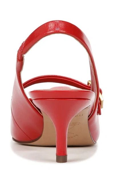 Franco Sarto Khloe Slingback Pointed Toe Pump