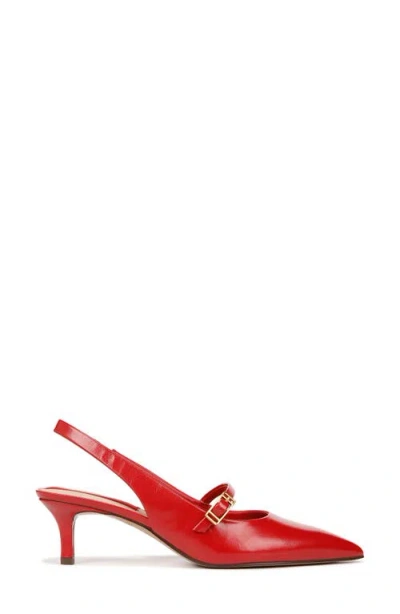 Franco Sarto Khloe Slingback Pointed Toe Pump
