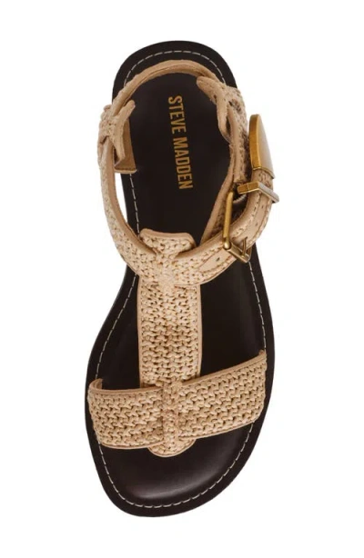 Steve Madden Brazinn Gladiator Sandal