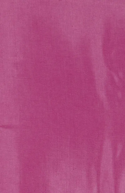 Calvin Klein Satin Border Chiffon Scarf