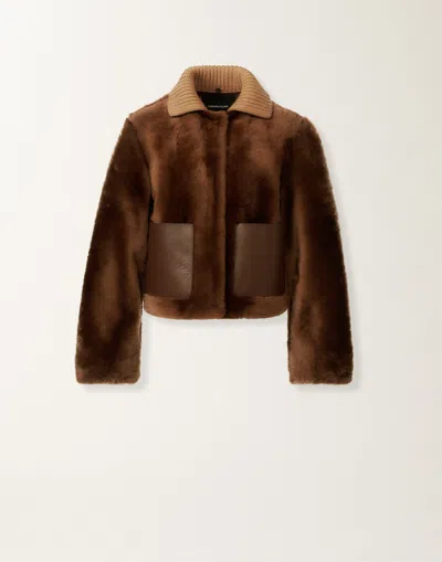 Fabiana Filippi Leather-panel Shearling Jacket In Brown