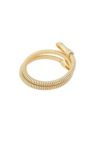 8 Other Reasons Snake Coil Wrap