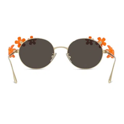 Loewe Signature Lw40173u - Gold / Orange Sunglasses