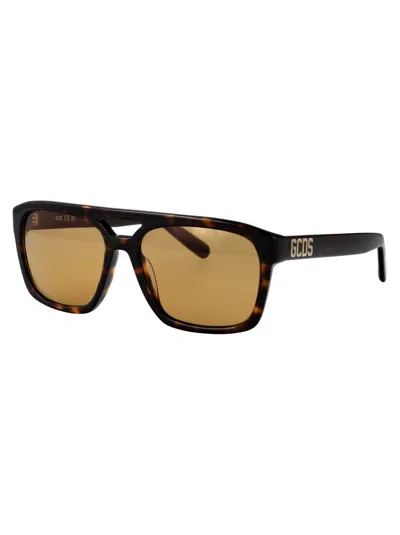 Gcds Avana Scura  / Roviex Acetate Sunglasses In Brown