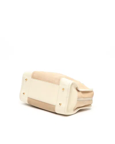 Loewe Suede Amazona Bag
