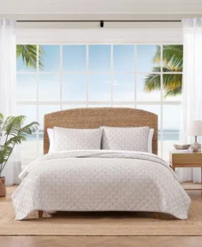Tommy Bahama Fronds Cotton Reversible Quilt Set
