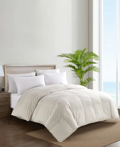 Nikki Chu 250-thread Count Down Comforter, Queen