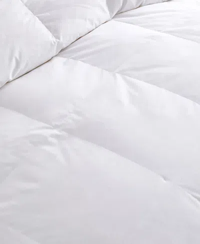 Nikki Chu 300-thread Count Down Comforter, Twin