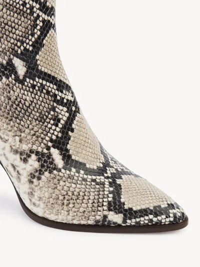 Chloé Oli And Ankle Boots